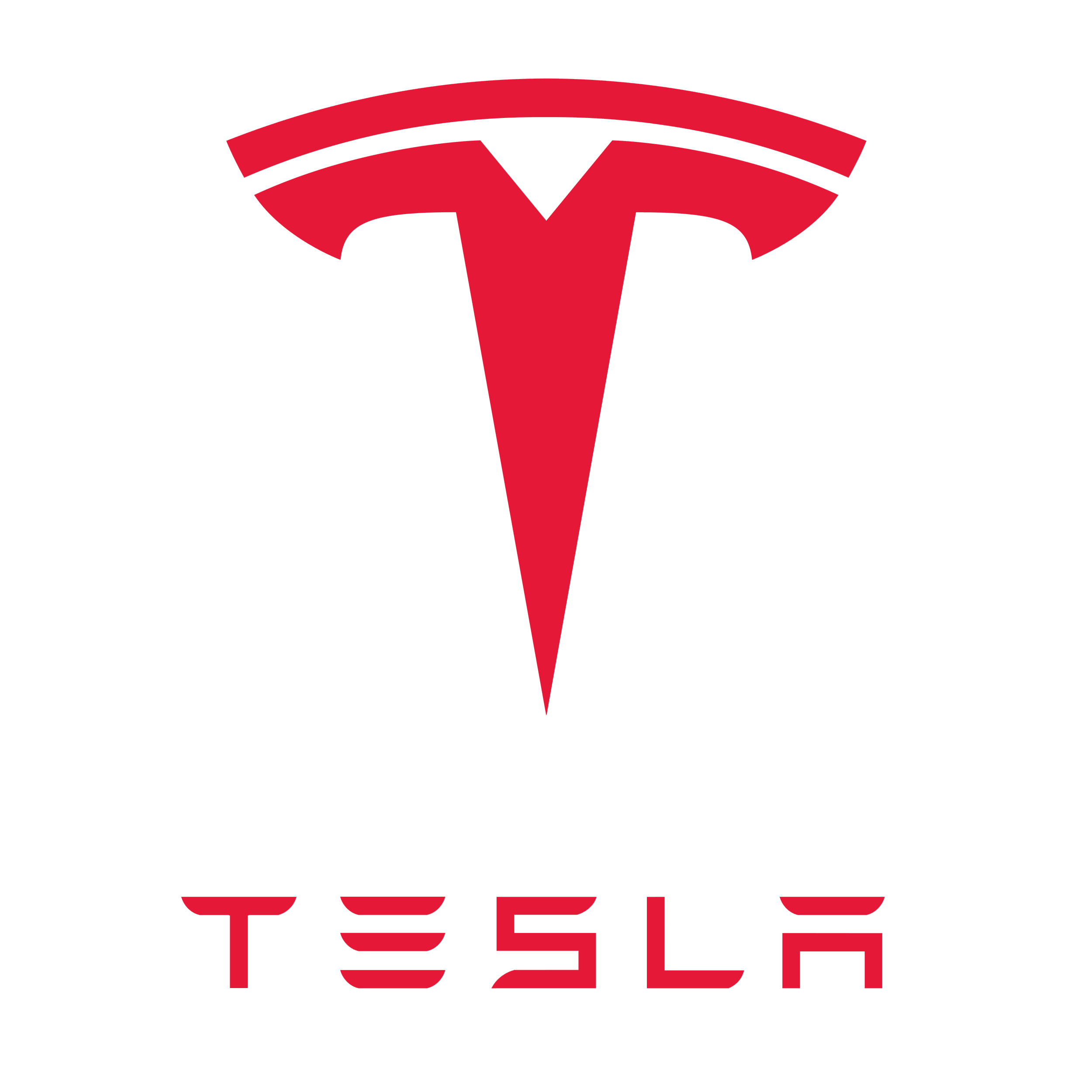 Icon forTesla